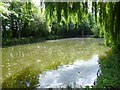 The lake in Parklands Open Space