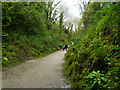 Path leading away from Beer Quarry Caves