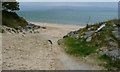 SH5536 : Footpath down to the beach, near Ynys Cyngar by Christine Johnstone