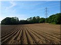 Hundred Steddle Field