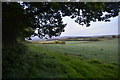 SS9941 : West Somerset : Grassy Field by Lewis Clarke