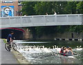 SK5804 : Rowers and swans on the Grand Union Canal in Leicester by Mat Fascione