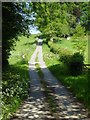 Quiet country road near Hatfield