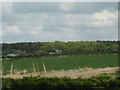 Lorries on the A1