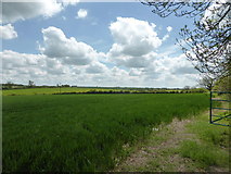SK9223 : The Witham Valley by Bob Harvey