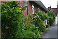 Thatched cottages by the church at Cranborne