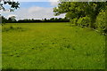 Field beside Filley Brook