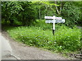 Signpost on Birchgrove Lane