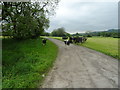 Grazing land beside the track to Meadows Farm