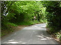 Looking uphill on Birchgrove Road