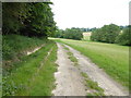 Farm track on the southern edge of Withy Wood