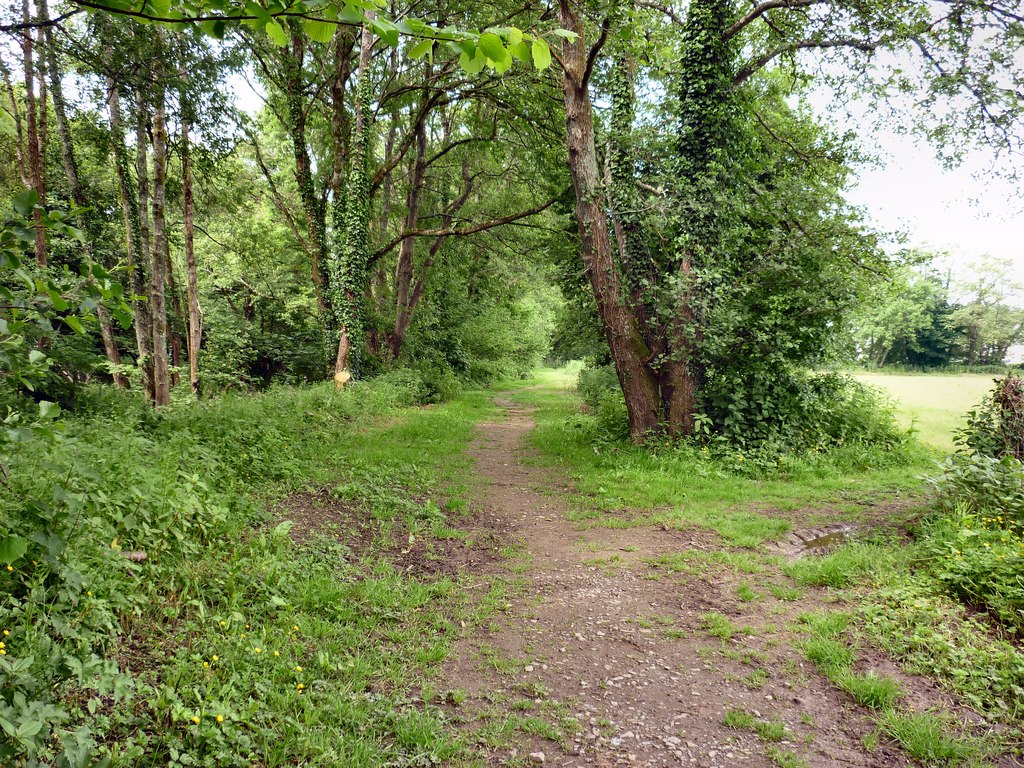 Lynton and Barnstaple Railway disused... © Barrie Cann :: Geograph ...