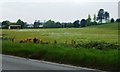 Driving range, Porthmadog Golf Club