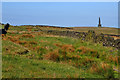 SD9824 : Dick's Lane and Stoodley Pike by Mick Garratt