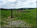 Field boundary, east of Fridd Ucha