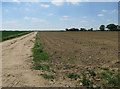 Track and maize crop