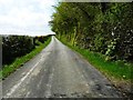 Road heading west to Bodunig and Wenlli