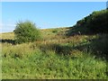 Grazing near Woolladen Stone Quarry