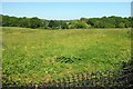 Field by Broadley Lane