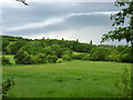 Field south of Thundersley Glen