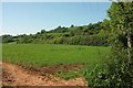 Arable field by Broadley Lane