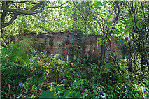 SH3868 : North Wales WWII defences: RAF Bodorgan, Anglesey - LAA Emplacement (1) by Mike Searle