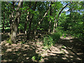 Track past Glebe Plantation