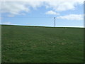 Hillside grazing near Boomiebank