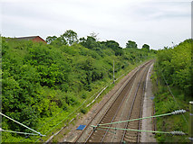 TQ7188 : Railway east of Church Road, Basildon by Robin Webster