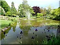 SU9185 : The water garden at Cliveden by Graham Hogg
