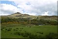 Arrochymore Point