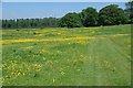 Path Across Latton Common