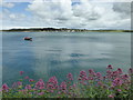 Rock from Padstow