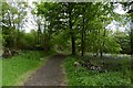 Cycle path, Buchanan Home Farm