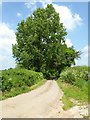 Road to Lower Berrington