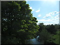 The Bann above McComb