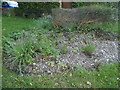 Flowerbed on High Street, Stoke Goldington