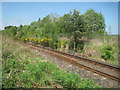 Rothiemay railway station (site), Aberdeenshire