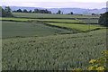 View over fields south of Watchet