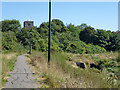 Footpath, Benfleet Marsh