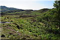 Sleat Scrubland