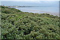 View over dunes towards Burnham-on-Sea