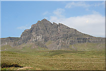 NG4954 : The Storr by Anne Burgess