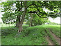 Footpath to Toothill Farm