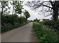 Dadlington Lane towards Stapleton