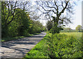 Coal Pit Lane towards Cloudesley Bush