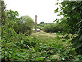 Derelict linen mill at Annsborough