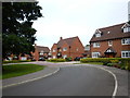 Binfield - Large New Houses