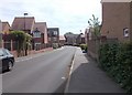 Academy Drive - viewed from College Court