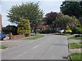 Middlethorpe Grove - viewed from Lycett Road